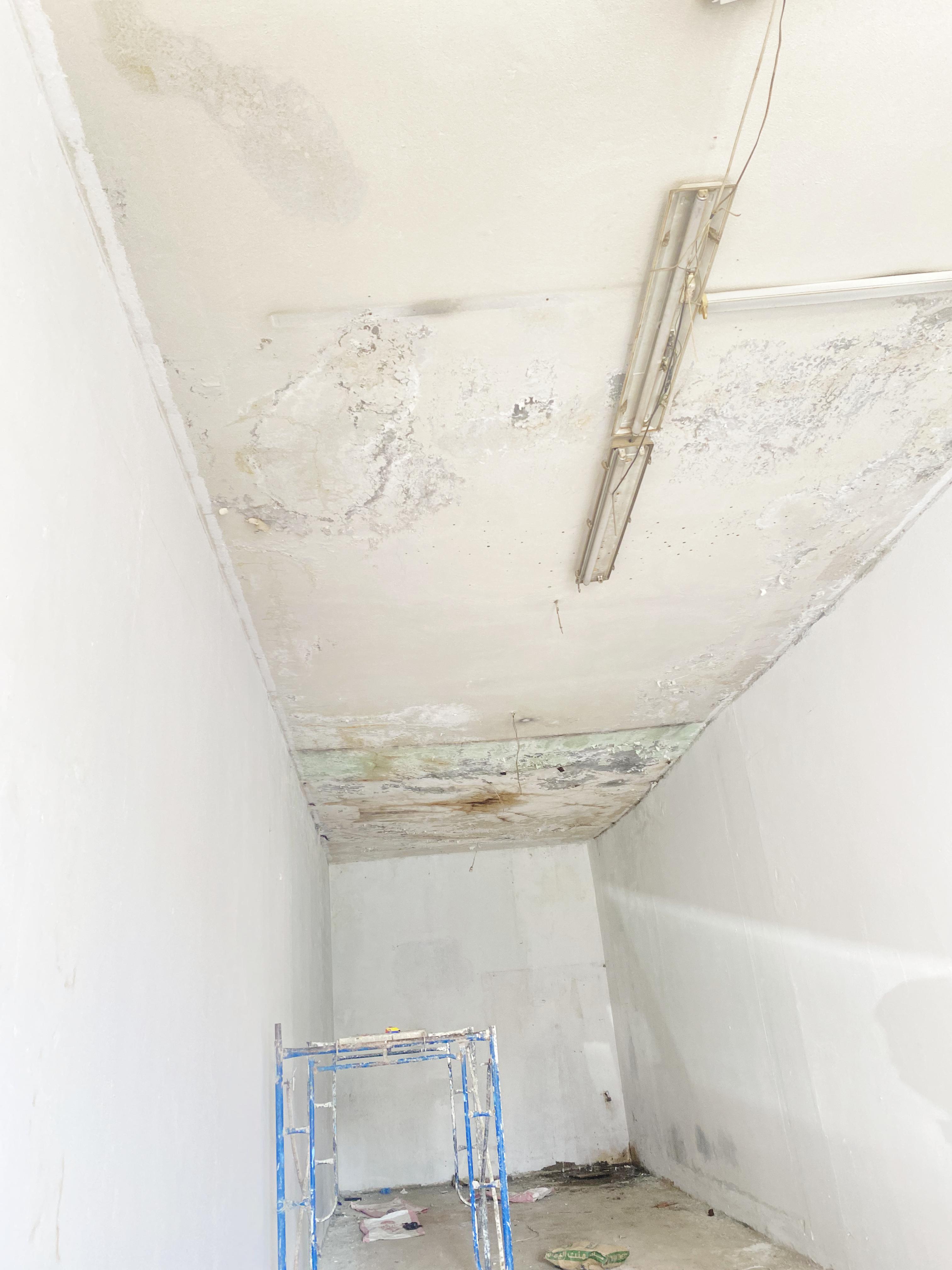 whatsapp image 2025 09 07 at 3.03.46 pm